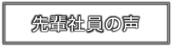 先輩社員の声